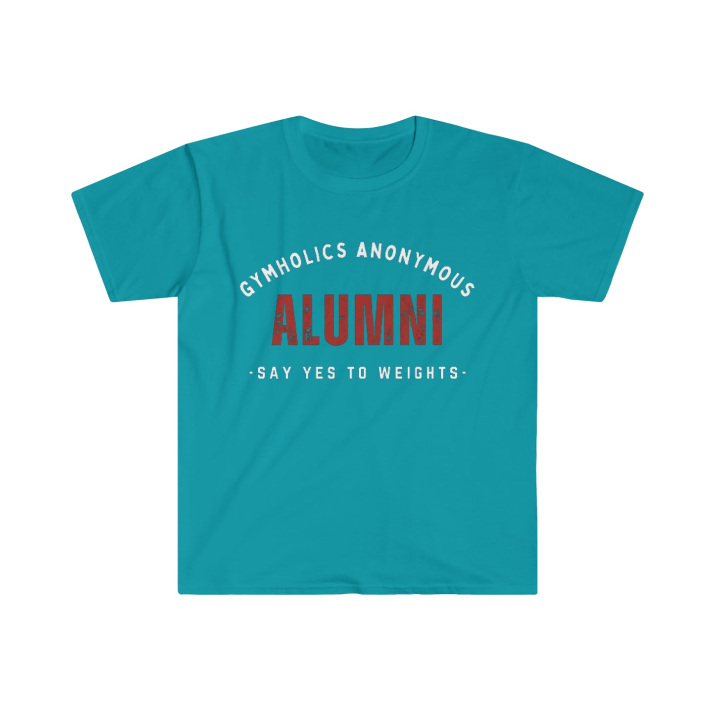 Gymholics Anonymous Alumni Unisex Softstyle T-Shirt